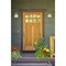 Westinghouse Fixture Wall Outdoor 60W Emma Jane Washed Copper Clear Seeded Glass 6361000 - alternate 2
